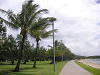 s_A_PICT0214_thumb.png